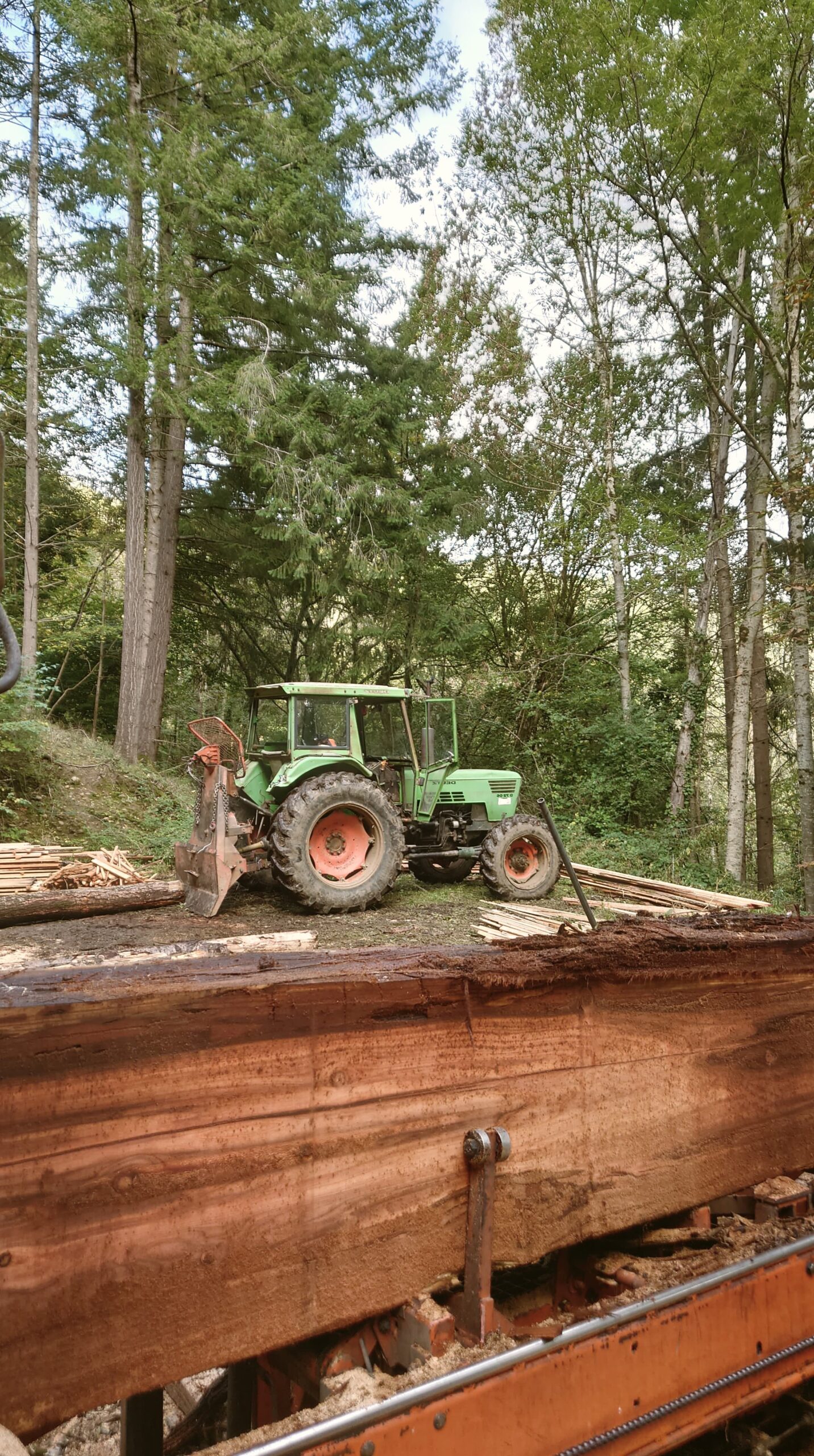 Photo tracteur et sciage en forêt